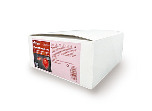 N末端脑钠肽前体（NT-proBNP）测定试剂盒