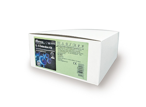 白介素6（IL-6）测定试剂盒